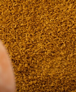Alfombra de pelo largo Shaggy Trend - Amarillo mostaza - close up, thumbnail Alfombra de pelo largo Shaggy Trend - Amarillo mostaza - close up, thumbnail