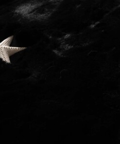 Alfombra cuadrada suave de pelo largo - Comfy Deluxe Negro Alfombra cuadrada suave de pelo largo - Comfy Deluxe Negro