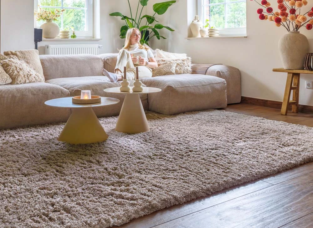 como-colocar-una-alfombra-en-el-salon-tamano-posicion-y-errores-que-evitar