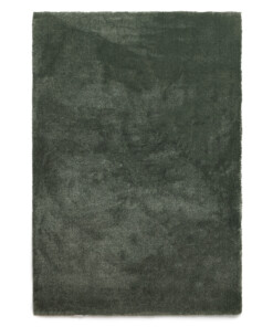 Alfombra lavable - Clean Prestige verde - overzicht