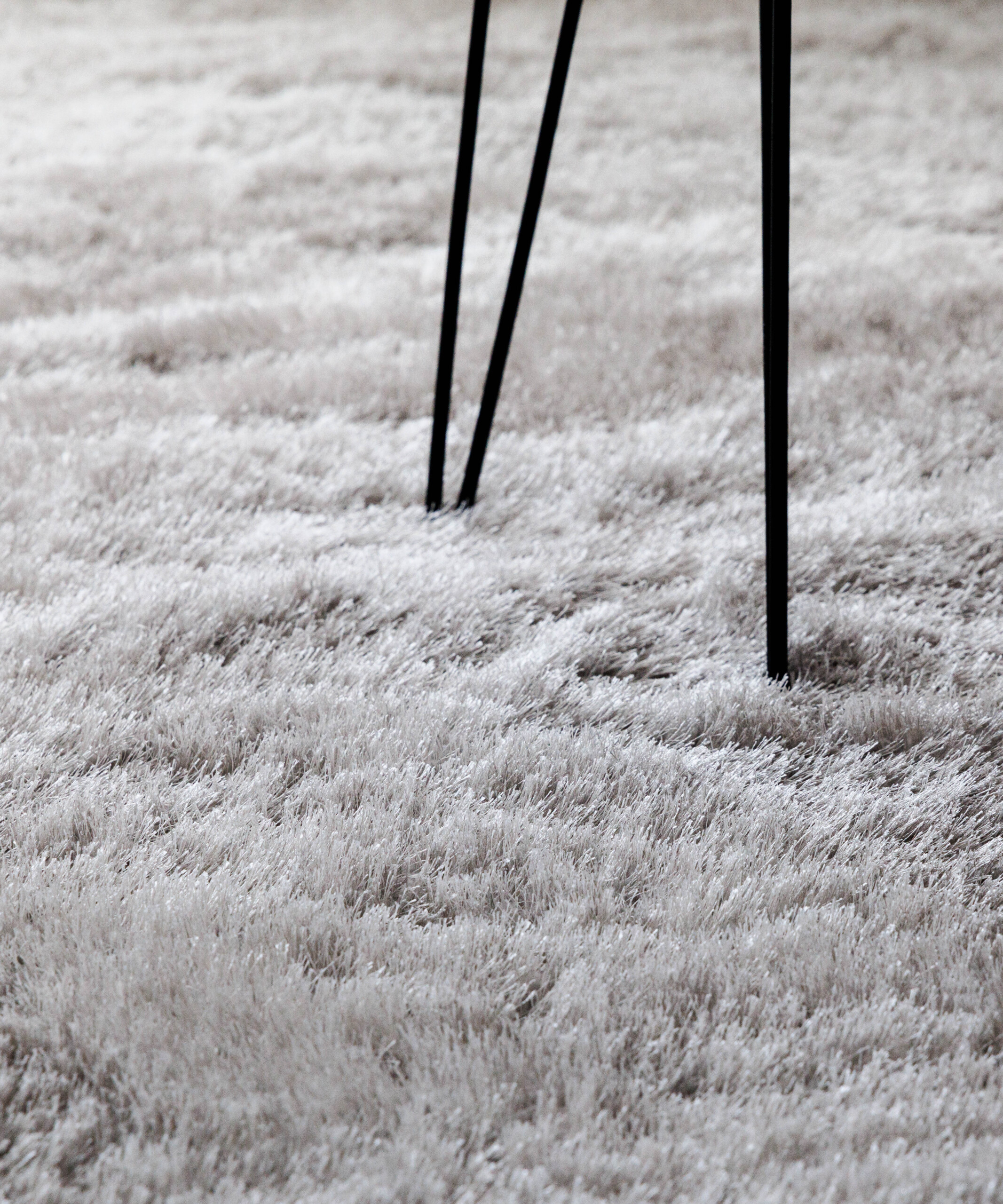 Alfombra de pelo largo - Posh Velours Gris Claro - close up Alfombra de pelo largo - Posh Velours Gris Claro - close up